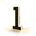 Solar LED House Number Sign