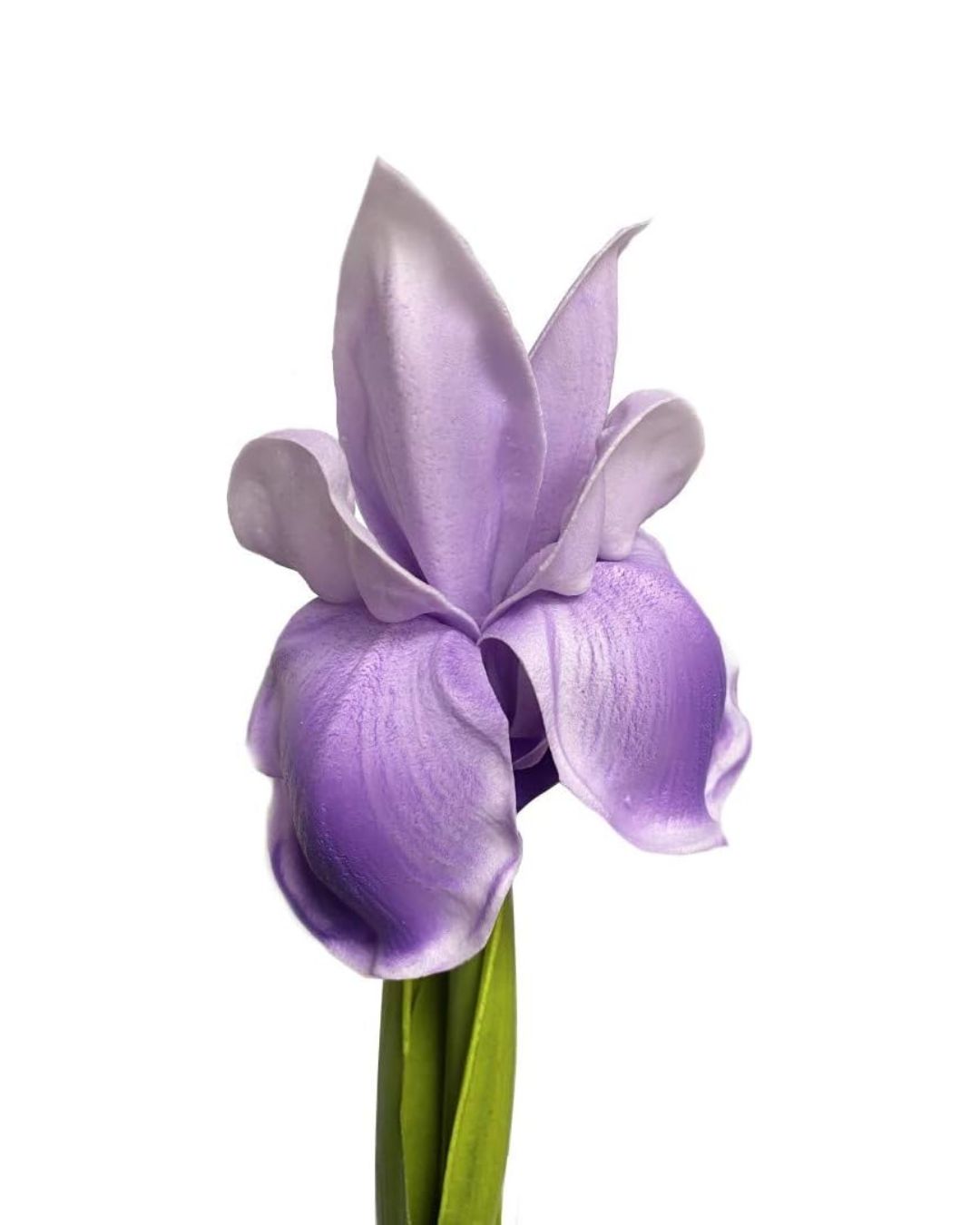 Real-Touch Iris Stems – The Elegance of Garden Irises Without the Short Season