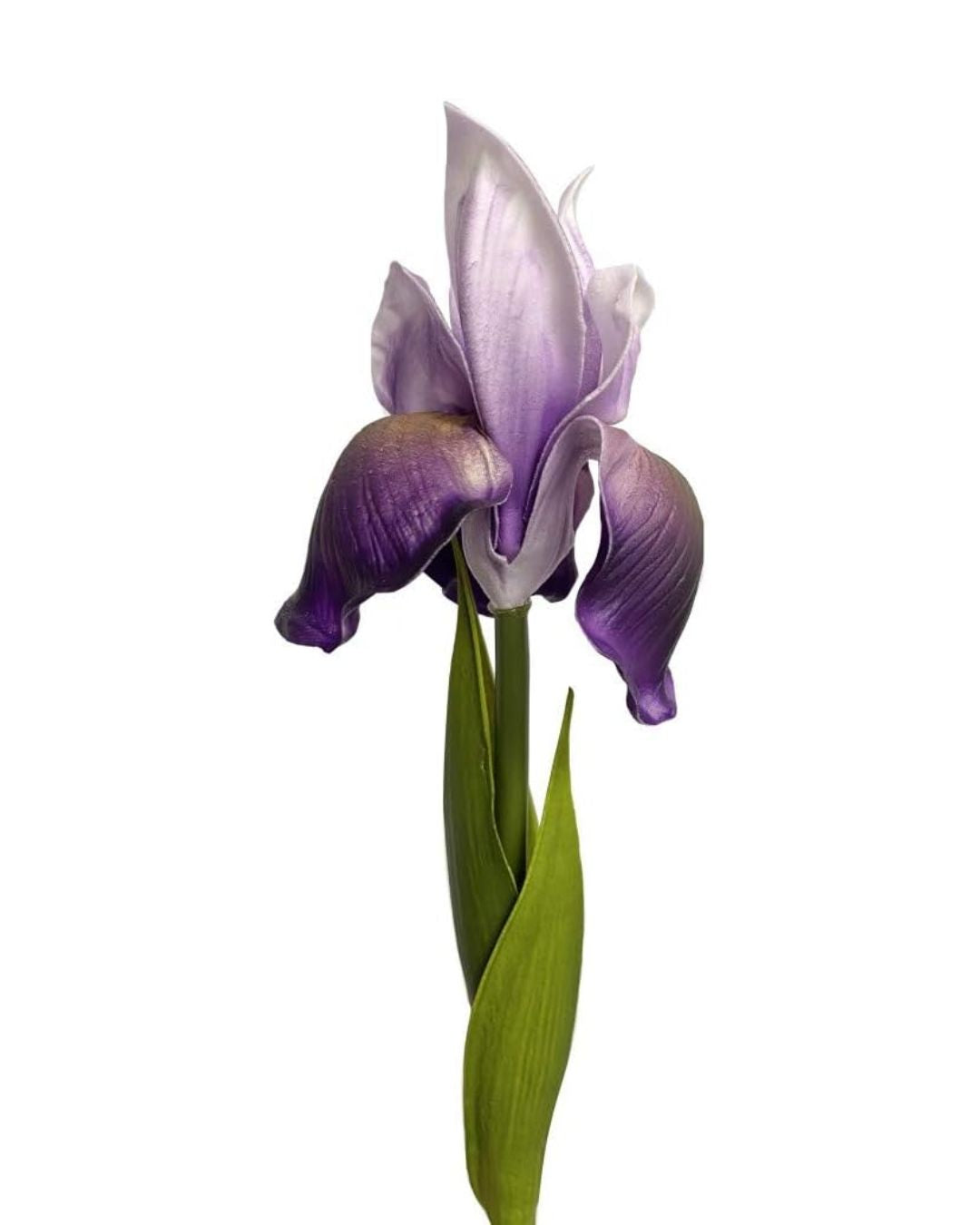 Real-Touch Iris Stems – The Elegance of Garden Irises Without the Short Season