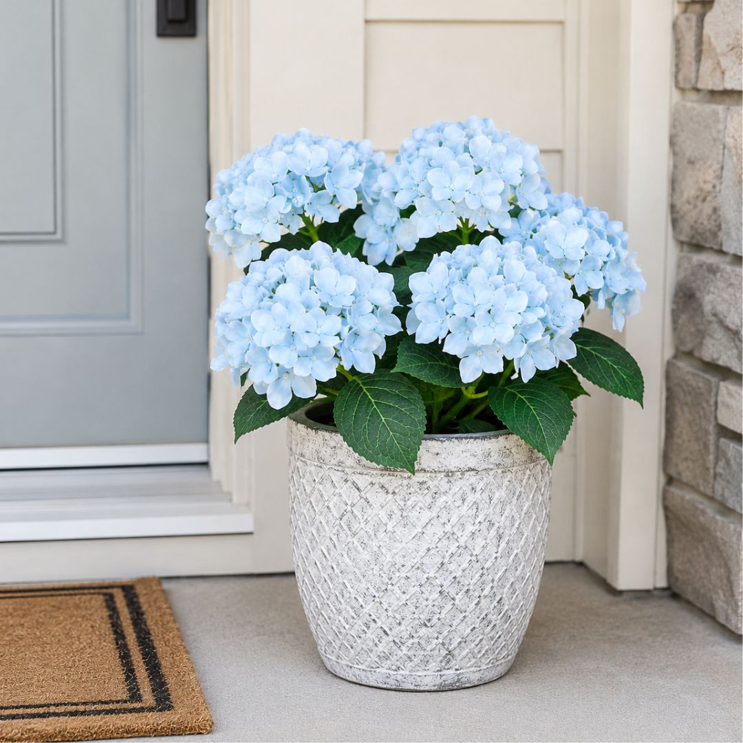 Faux Outdoor Hydrangeas: Weatherproof and UV-Resistant