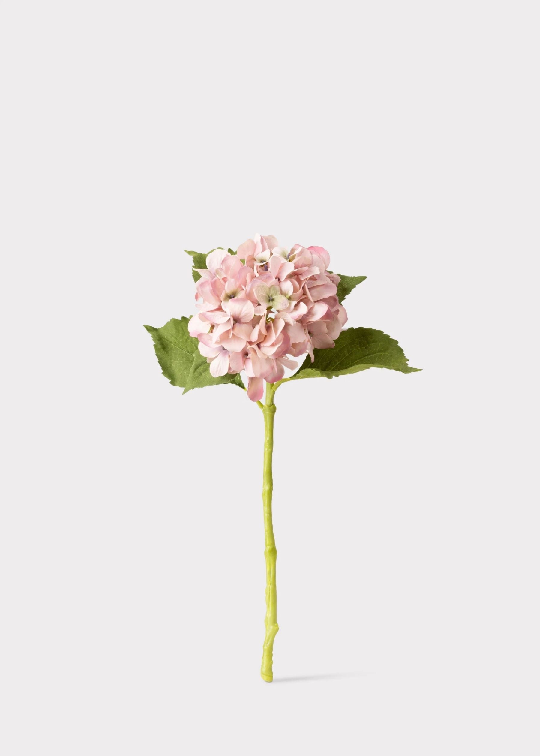 Antique Hydrangea Stems – The Beauty of Fresh Hydrangeas Without the Upkeep