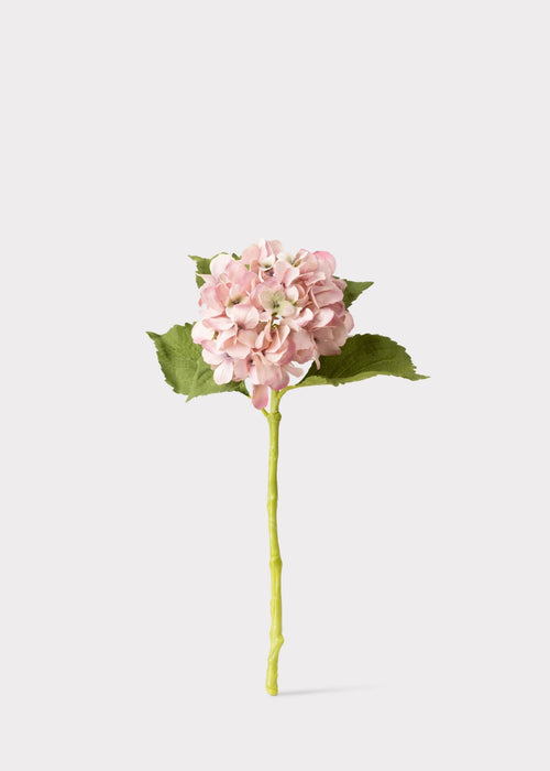 Antique Hydrangea Stems – The Beauty of Fresh Hydrangeas Without the Upkeep