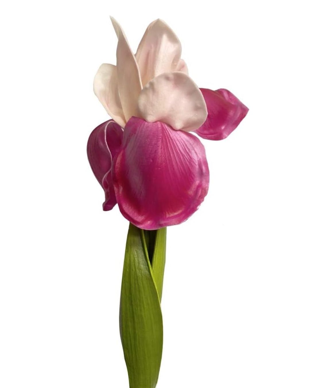 Real-Touch Iris Stems – The Elegance of Garden Irises Without the Short Season