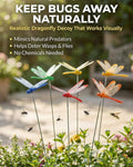 Realistic Dragonfly Decoys – Keep Wasps and Bees Away Without Sprays