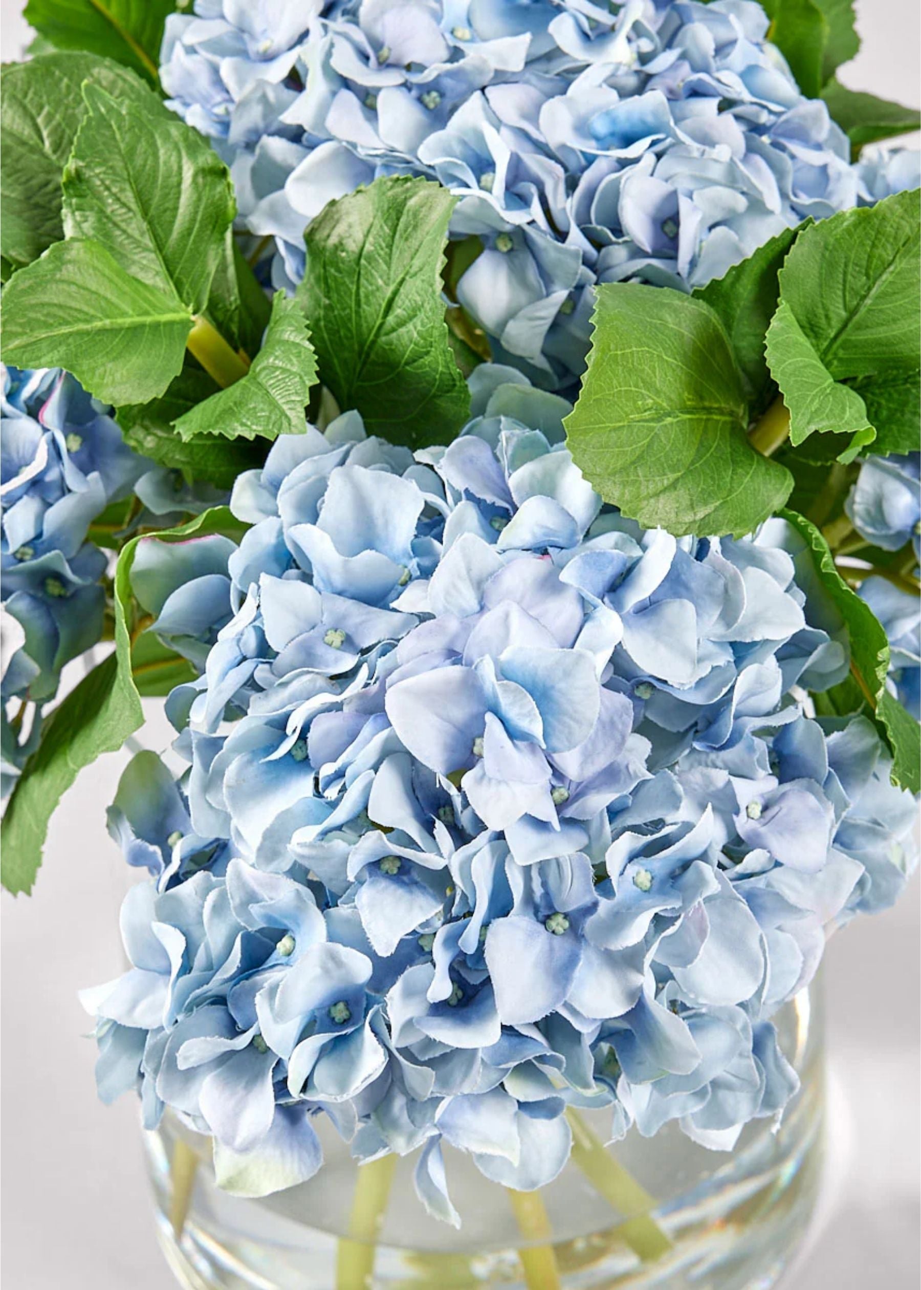 Antique Hydrangea Stems – The Beauty of Fresh Hydrangeas Without the Upkeep