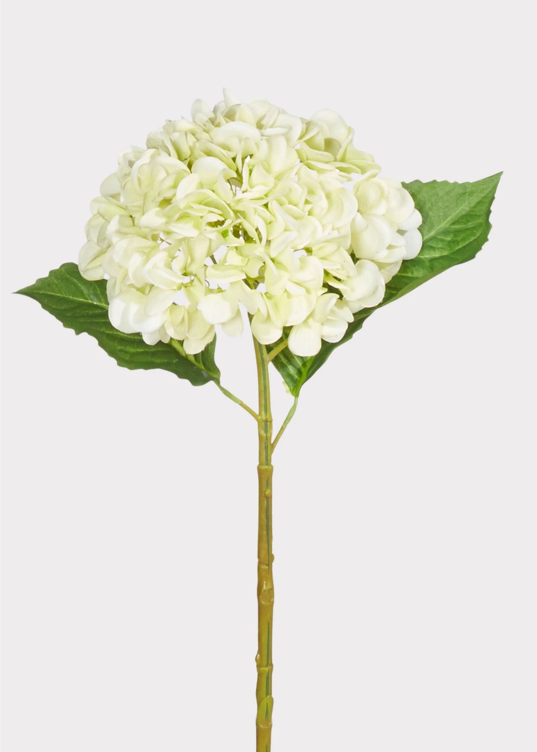 Antique Hydrangea Stems – The Beauty of Fresh Hydrangeas Without the Upkeep