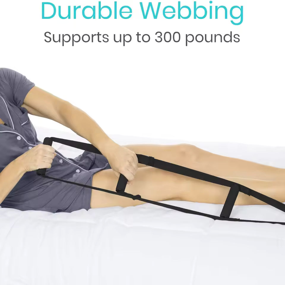 Bed assist ladder