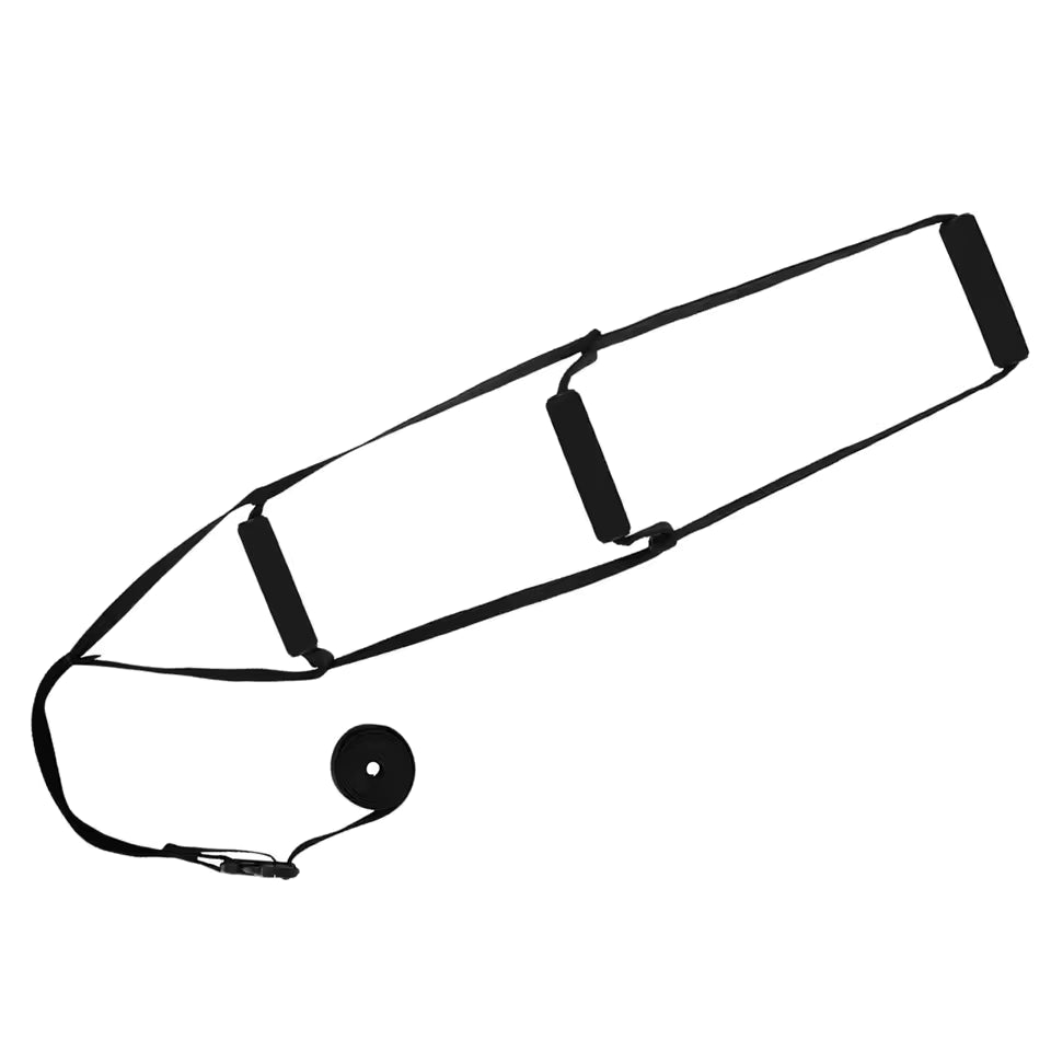Bed assist ladder